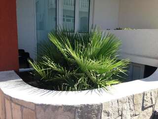 Апартаменты Apartments Atlantis Добра-Вода Номер-студио с видом на сад-4