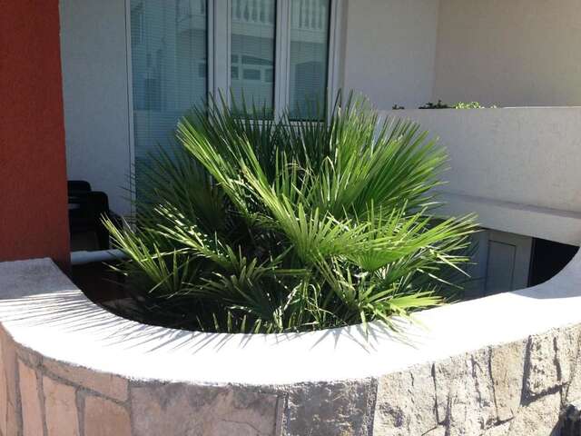 Апартаменты Apartments Atlantis Добра-Вода-64